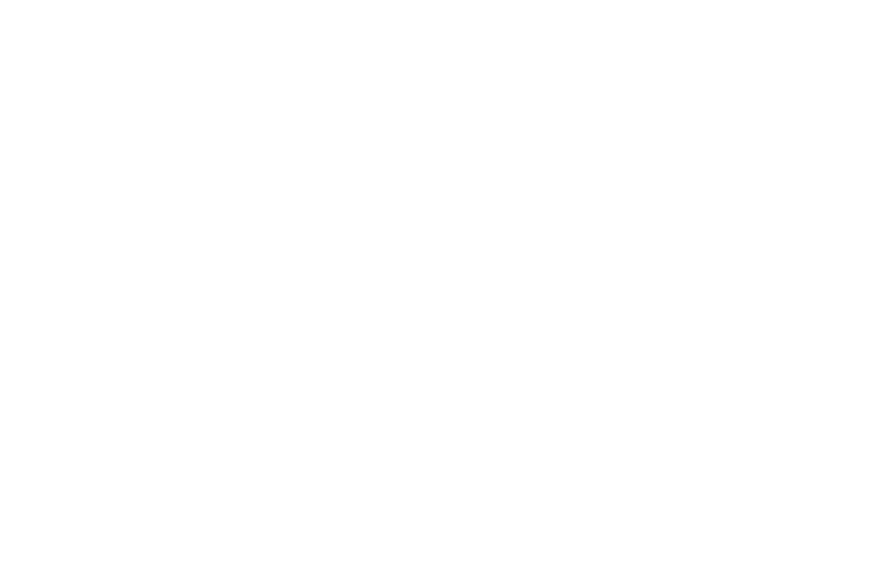 Allison Insurance - Logo 800 White